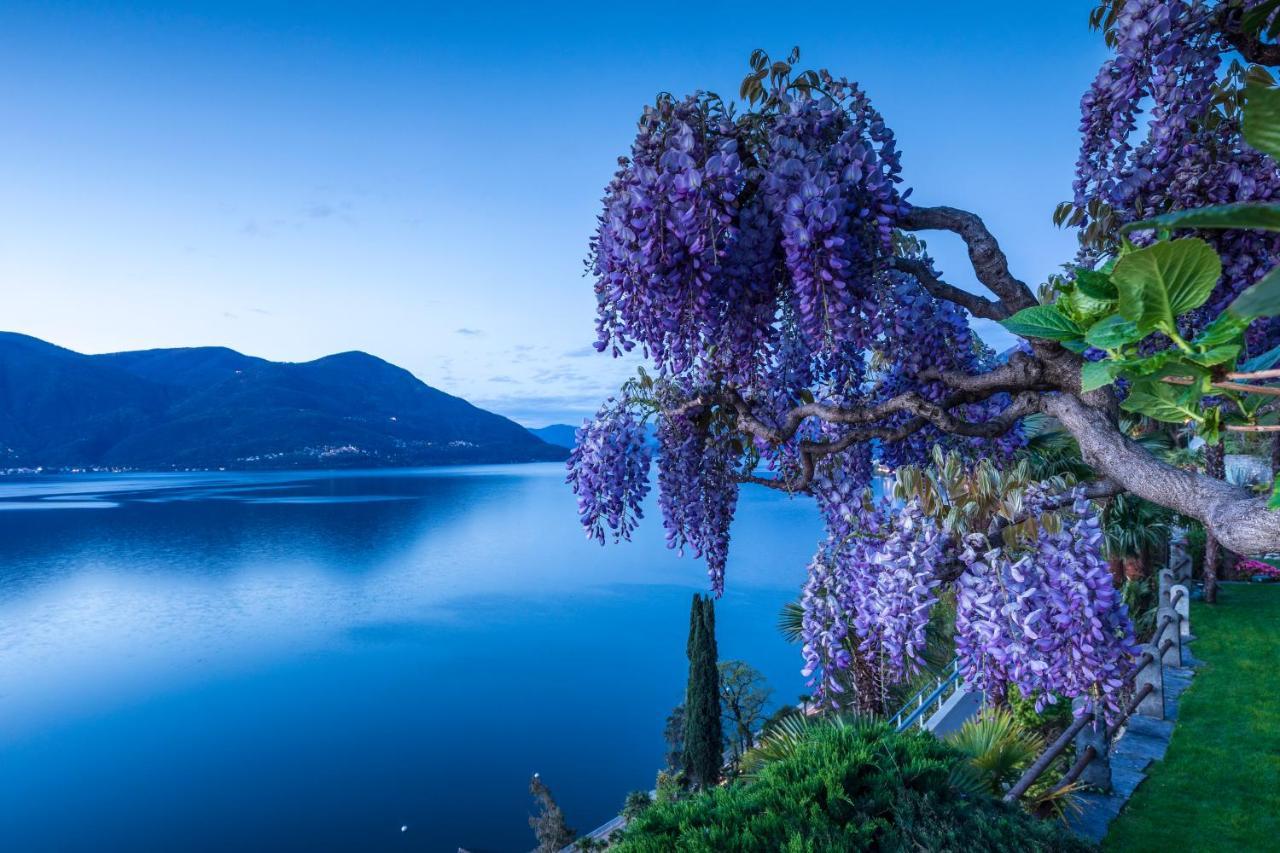Boutique Hotel La Rocca Ronco sopra Ascona Buitenkant foto